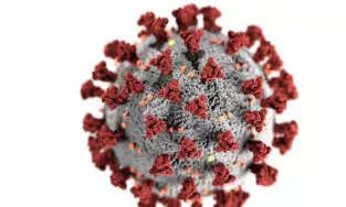 കോവിഡ്: ഒമാനിലെ രോഗമുക്തരുടെ എണ്ണം ലക്ഷത്തിനോട് അടുത്തു കോവിഡ്: ഒമാനിലെ രോഗമുക്തരുടെ എണ്ണം ലക്ഷത്തിനോട് അടുത്തു