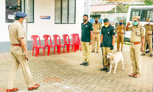 ഇനി ജാക്ക് മണത്തറിയും മണ്ണിനടിയിലെ ജീവ​െൻറ തുടിപ്പ്​