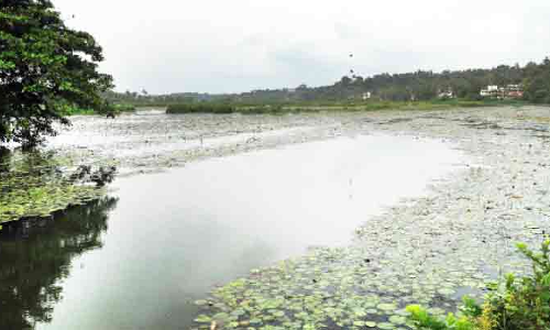 കക്കാട്​ പുഴ ഇനിയുമൊഴുകും