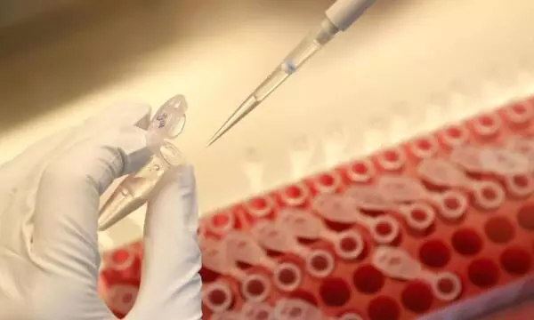 2020ൽ തന്നെ കോവിഡ് വാക്സിൻ നൽകാനാകുമെന്ന് ഫിസർ 2020ൽ തന്നെ കോവിഡ് വാക്സിൻ നൽകാനാകുമെന്ന് ഫിസർ