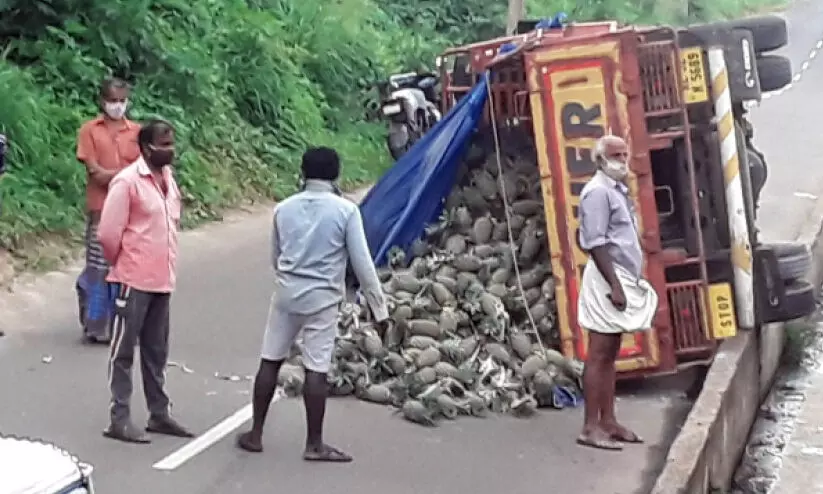 കോവളം ബൈപാസിൽ ലോറി തലകീഴായി മറിഞ്ഞു