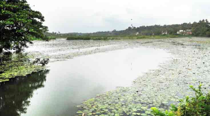 കക്കാട് പുഴ ഇനിയുമൊഴുകും കക്കാട് പുഴ ഇനിയുമൊഴുകും
