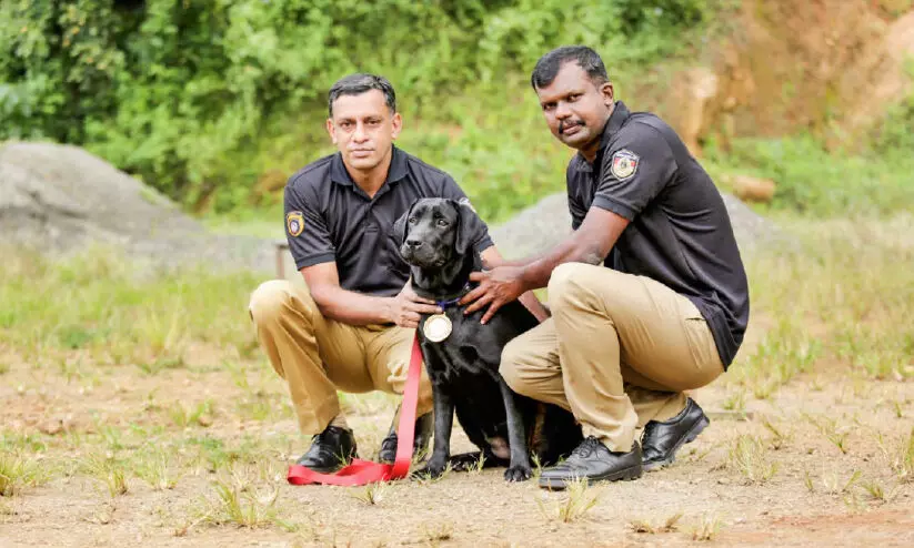 പെട്ടിമുടിയിലെ തിരച്ചില്‍ താരം ഡോണക്ക്​ സം​സ്ഥാ​ന ബഹുമതി