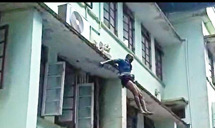 ആശുപത്രി കെട്ടിടത്തിനു മുകളിൽ നിന്ന് ചാടാൻ ശ്രമിച്ച് കോവിഡ് നിരീക്ഷണത്തിലുള്ളയാൾ; ഒടുവിൽ വലയിൽ - വീഡിയോ ആശുപത്രി കെട്ടിടത്തിനു മുകളിൽ നിന്ന് ചാടാൻ ശ്രമിച്ച് കോവിഡ് നിരീക്ഷണത്തിലുള്ളയാൾ; ഒടുവിൽ വലയിൽ - വീഡിയോ