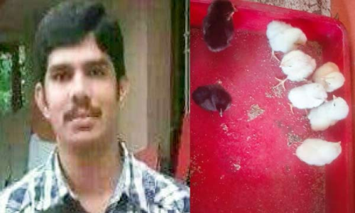 സ്വ​ന്ത​മാ​യി നി​ർ​മി​ച്ച ഇ​ൻ​ക്യൂബേ​റ്റ​റി​ൽ മു​ട്ട വി​രി​യി​ച്ച് പ്ര​വാ​സി മ​ല​യാ​ളി