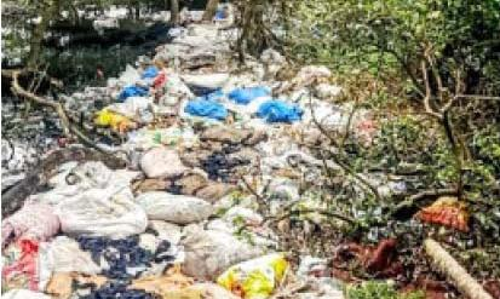 പുഴയോരത്ത് മാലിന്യം തള്ളൽ: യുവാവ് പിടിയിൽ