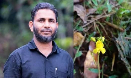 ഡോ. കമറുദ്ദീൻ സ്​മാരക പരിസ്ഥിതി പുരസ്​കാരത്തിന്​ അപേക്ഷിക്കാം