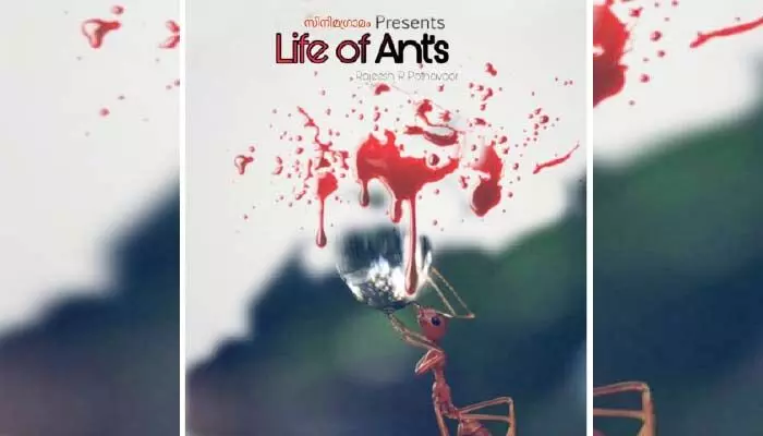 ഉറുമ്പുകൾ കഥാപാത്രങ്ങളായ ചിത്രം റിലീസ്