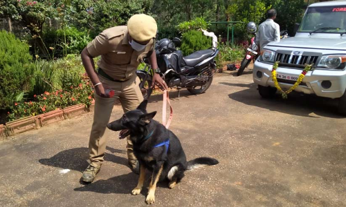 പുള്ളിപ്പുലി ചത്ത സംഭവം: ഡോഗ് സ്ക്വാഡി​​െൻറ സഹായത്തോടെ അന്വേഷണം