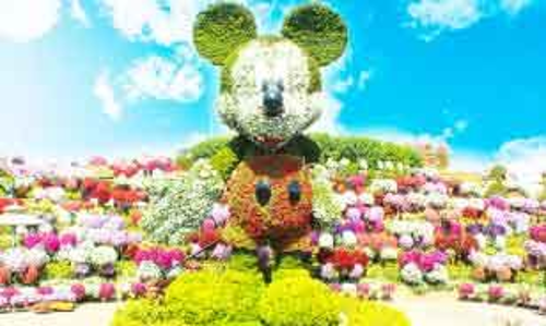 അത്ഭുതങ്ങൾ ഒളിപ്പിച്ച്​ മിറക്കിൾ ഗാർഡൻ തുറക്കുന്നു