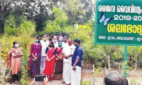 മ​ങ്ക​ര​യി​ൽ ശ​ല​ഭോ​ദ്യാ​നം തു​റ​ന്നു