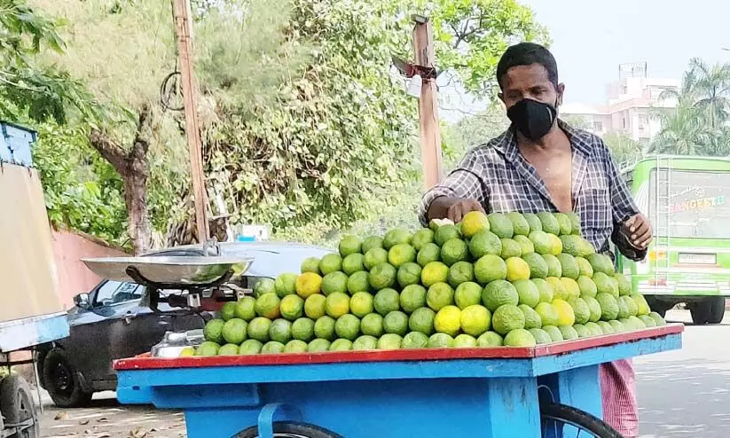 വഴി നീളെ കച്ചവടം; വഴിമുട്ടി തെരുവ് കച്ചവടക്കാർ വഴി നീളെ കച്ചവടം; വഴിമുട്ടി തെരുവ് കച്ചവടക്കാർ
