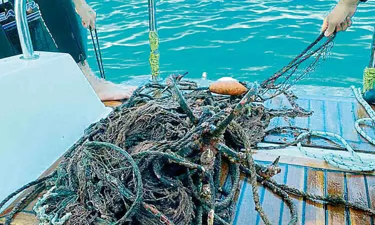 ദ​മാ​നി​യാ​ത്ത്​ ദ്വീ​പു​ക​ളി​ൽ ന​വം​ബ​ർ  ഒ​ന്നു​മു​ത​ൽ സ​ന്ദ​ർ​ശ​ക​ർ​ക്ക്​ പ്ര​വേ​ശ​നം