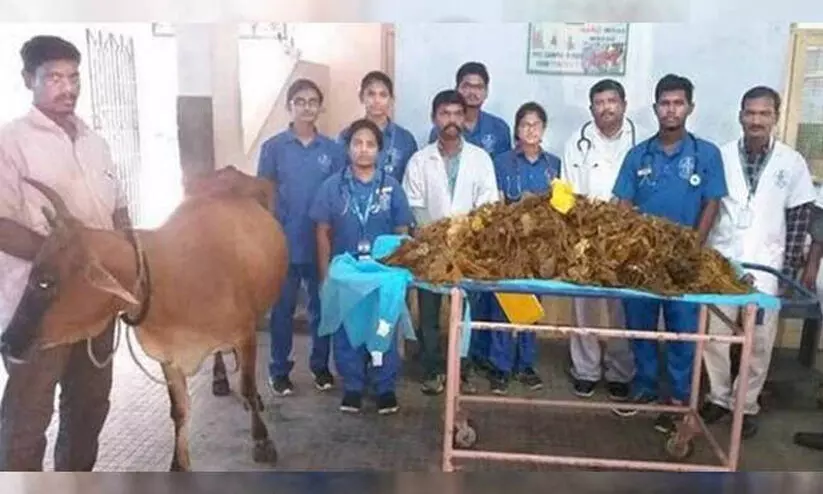 പശുവിന്റെ വയറ്റില്‍നിന്ന് പുറത്തെടുത്തത് 52 കിലോ പ്ലാസ്റ്റിക്