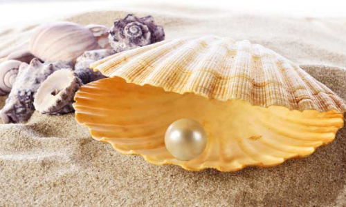 അബൂദബിയിലെ മുത്ത് വ്യാപാരം: ഈ വർഷം അഞ്ചുമാസത്തിനകം 8.8 ബില്യൺ ദിർഹമായി