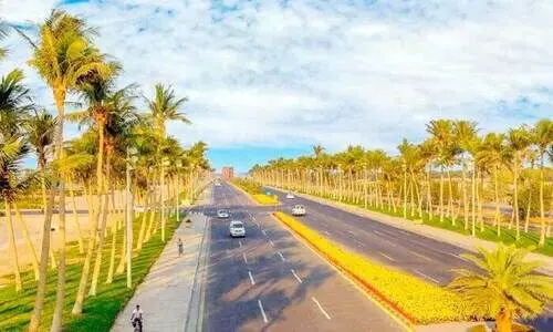 മ​രു​ഭൂ​മി​യെ പ​ച്ച​യ​ണി​യി​ച്ച്​ യാം​ബു റോ​യ​ൽ ക​മീ​ഷ​ൻ