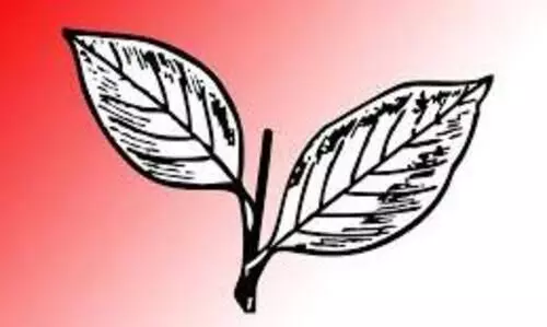 കോ​ത​മം​ഗ​ലത്ത്​ കേ​ര​ള കോ​ൺ​ഗ്ര​സ് മാ​ണി വി​ഭാ​ഗം യോ​ഗ​ത്തി​ൽ വാ​ക്കേ​റ്റ​ം, കൈ​യാ​ങ്ക​ളി​