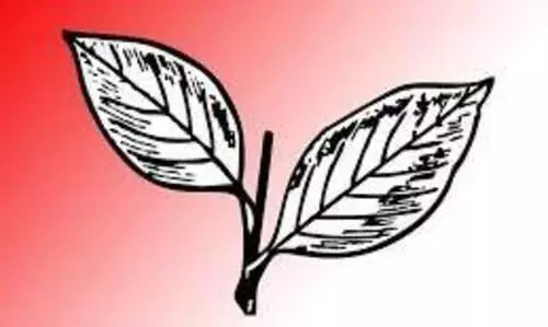 സാമ്പത്തിക സംവരണം മുൻകാല പ്രാബല്യത്തോടെ നടപ്പാക്കണം –കേരള കോൺഗ്രസ്  ​ജോ​സ​ഫ്​ വി​ഭാ​ഗം