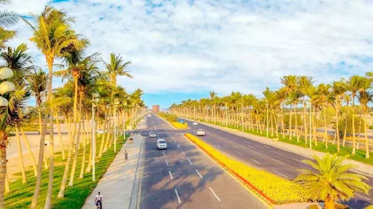 മരുഭൂമിയെ പച്ചയണിയിച്ച് യാംബു റോയൽ കമീഷൻ മരുഭൂമിയെ പച്ചയണിയിച്ച് യാംബു റോയൽ കമീഷൻ