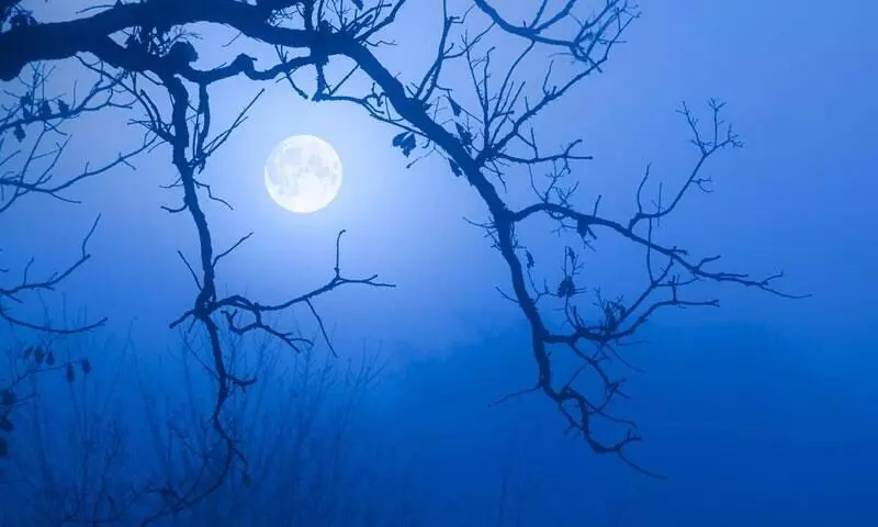 ഇന്ന്​ ആകാ​ശത്ത്​ ബ്ലൂ മൂൺ എത്തും, ഒപ്പം കുഞ്ഞു അതിഥിയും