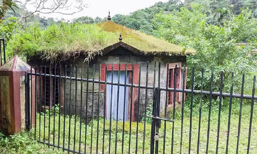 കാടുകയറി വാഗമൺ ടൂറിസ്റ്റ് ഇൻഫർമേഷൻ ഓഫിസ് കാടുകയറി വാഗമൺ ടൂറിസ്റ്റ് ഇൻഫർമേഷൻ ഓഫിസ്