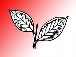 കോതമംഗലത്ത് കേരള കോൺഗ്രസ് മാണി വിഭാഗം യോഗത്തിൽ വാക്കേറ്റം, കൈയാങ്കളി കോതമംഗലത്ത് കേരള കോൺഗ്രസ് മാണി വിഭാഗം യോഗത്തിൽ വാക്കേറ്റം, കൈയാങ്കളി