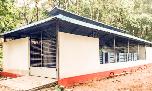 ആന പിണ്ഡമി​ട​ട്ടെ, കൃഷി തഴച്ചു വളരും.. അടുപ്പ്​ പുകയുകയും ചെയ്യും