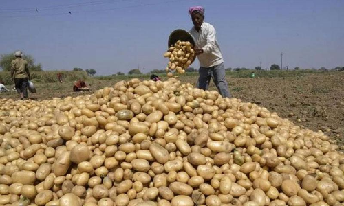 സവാളവിലക്ക്​ പിന്നാലെ ഉരുളകിഴങ്ങും; ഒരു വർഷത്തിനിടെ ഇരട്ടിവില