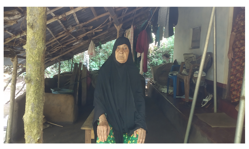 വിപ്ലവനായകന് അഭയമേകിയ മാപ്പിളപ്പെണ്ണ് വിപ്ലവനായകന് അഭയമേകിയ മാപ്പിളപ്പെണ്ണ്