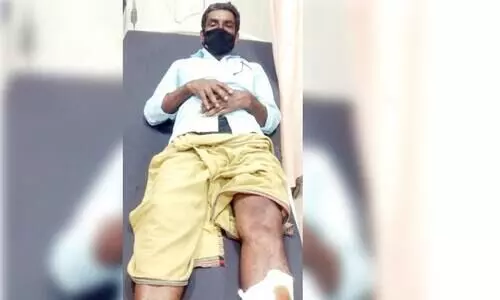 പൂതംപാറയിൽ കാട്ടുപന്നി ശല്യം: ഒരാൾക്ക് കുത്തേറ്റു