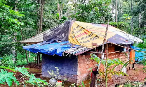 വീടില്ലാതെ കണ്ടാല മലയിലെ കാണാമറയത്തുകാർ