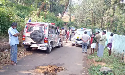 കോക്കാൽ ഭാഗത്ത് കാട്ടാന ശല്യം