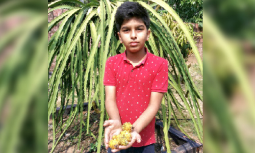 ഇത്​ വിദേശ പഴങ്ങളുടെ മധുരവസന്തം