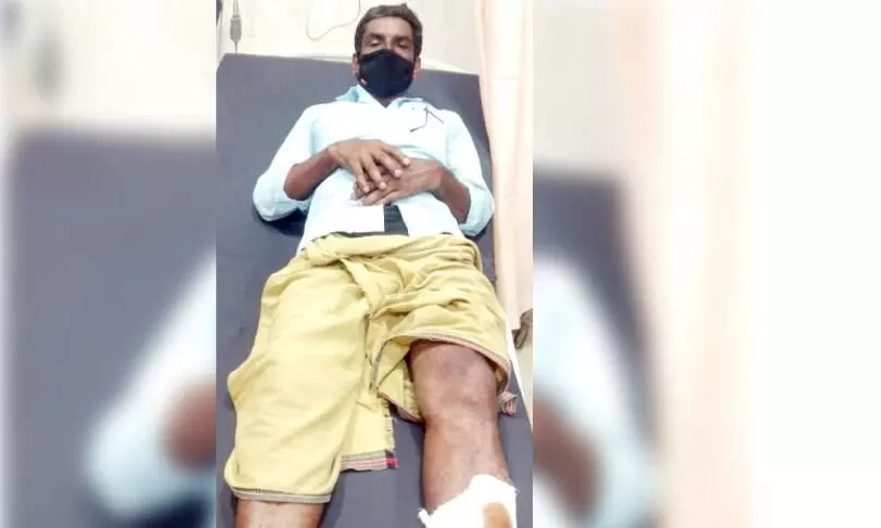 പൂതംപാറയിൽ കാട്ടുപന്നി ശല്യം: ഒരാൾക്ക് കുത്തേറ്റു പൂതംപാറയിൽ കാട്ടുപന്നി ശല്യം: ഒരാൾക്ക് കുത്തേറ്റു