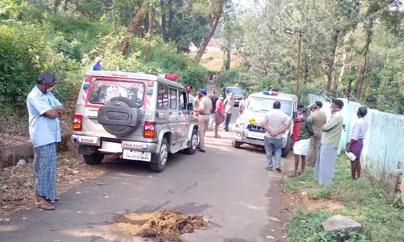 കോക്കാൽ ഭാഗത്ത് കാട്ടാന ശല്യം കോക്കാൽ ഭാഗത്ത് കാട്ടാന ശല്യം