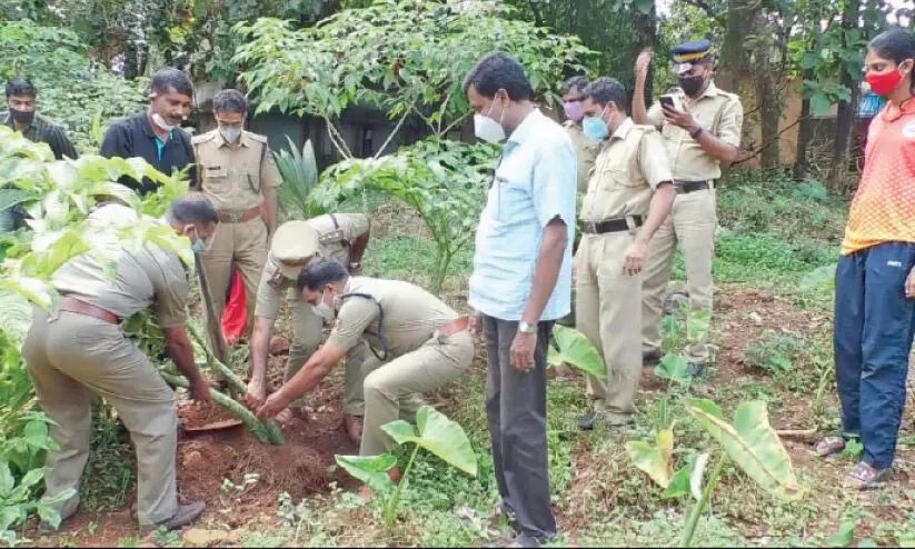 പച്ചക്കറി കൃഷിയിൽ വിജയം കൊയ്ത് കാക്കിപ്പട പച്ചക്കറി കൃഷിയിൽ വിജയം കൊയ്ത് കാക്കിപ്പട