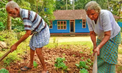 പ്രായം 90 കഴിഞ്ഞു; ദമ്പതികൾ മണ്ണിൽ പൊന്ന്​ വിളയിക്കുന്ന തിരക്കിലാണ്​