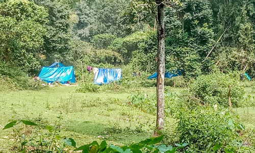 പെരിഞ്ചാംകുട്ടി പ്ലാ​േൻറഷൻ കൈയേറി ആദിവാസികൾ കുടിൽ കെട്ടി