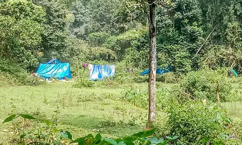 പെരിഞ്ചാംകുട്ടി പ്ലാേൻറഷൻ കൈയേറി ആദിവാസികൾ കുടിൽ കെട്ടി പെരിഞ്ചാംകുട്ടി പ്ലാേൻറഷൻ കൈയേറി ആദിവാസികൾ കുടിൽ കെട്ടി