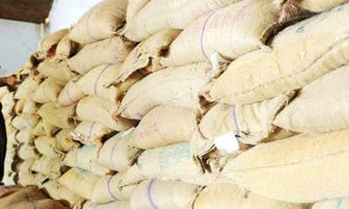 നെ​ല്ലു​സംഭരണത്തിന്​ മില്ലുടമകൾ; ഉഷാറായി സപ്ലൈകോ