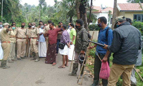 ജനവാസ മേഖലയിൽ ഒരുമിച്ച് മൂന്ന് കടുവകൾ; ആളുകള്‍ പുറത്തിറങ്ങരുതെന്ന് നിര്‍ദേശം