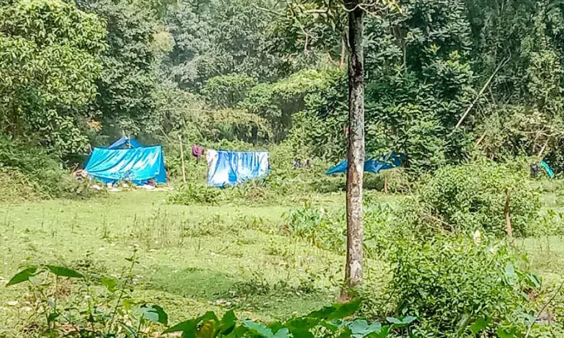 പെരിഞ്ചാംകുട്ടി പ്ലാ​േൻറഷൻ കൈയേറി ആദിവാസികൾ കുടിൽ കെട്ടി