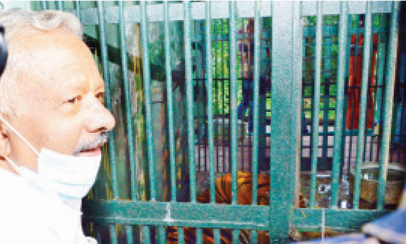 കടുവ പുറത്തുചാടിയ സംഭവം: അേന്വഷിക്കാൻ മന്ത്രിയുടെ ഉത്തരവ് കടുവ പുറത്തുചാടിയ സംഭവം: അേന്വഷിക്കാൻ മന്ത്രിയുടെ ഉത്തരവ്