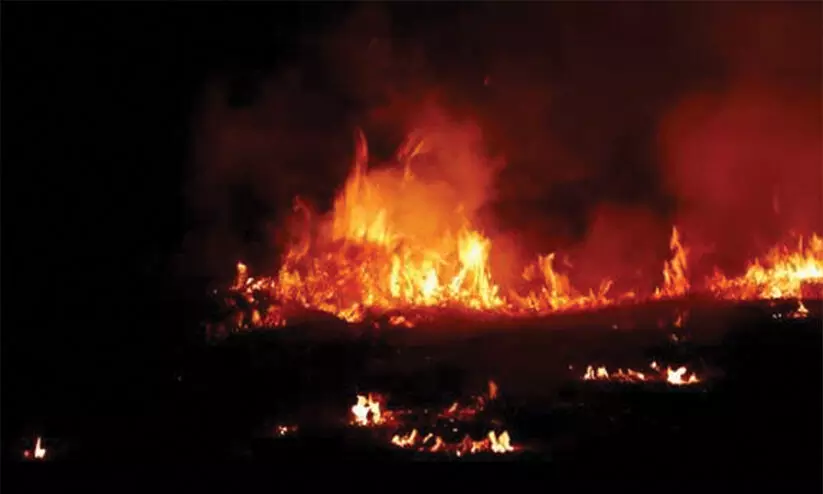 പാചക വാതക സിലിണ്ടർ പൊട്ടിത്തെറിച്ച് വീട് കത്തി നശിച്ചു പാചക വാതക സിലിണ്ടർ പൊട്ടിത്തെറിച്ച് വീട് കത്തി നശിച്ചു