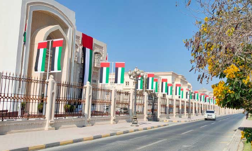 ആഘോഷത്തിൽ പ​ങ്കെടുത്ത്​ പ്രവാസികളും