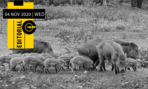 കൃ​​ഷി​​യെ പ്രോ​​ത്സാ​​ഹി​​പ്പി​​ച്ചാ​​ൽ പോ​​രാ; സം​​ര​​ക്ഷി​​ക്കു​​ക​​യും വേ​​ണം