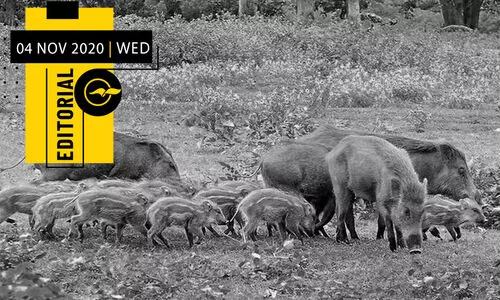 കൃ​​ഷി​​യെ പ്രോ​​ത്സാ​​ഹി​​പ്പി​​ച്ചാ​​ൽ പോ​​രാ; സം​​ര​​ക്ഷി​​ക്കു​​ക​​യും വേ​​ണം