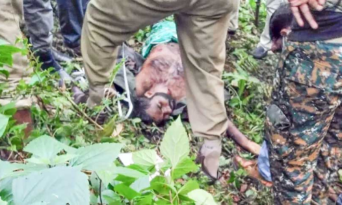 വേൽമുരുകൻ കൊല്ലപ്പെട്ട സംഭവം; വയനാട്​ കലക്ടര്‍ അന്വേഷിക്കാൻ സർക്കാർ ഉത്തരവ്​