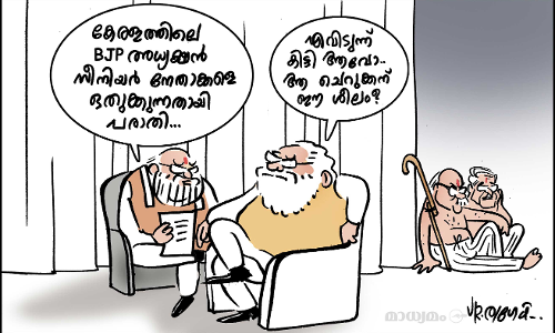 എവിടുന്ന് കിട്ടി ആവോ..?