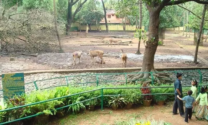 thrissur zoo